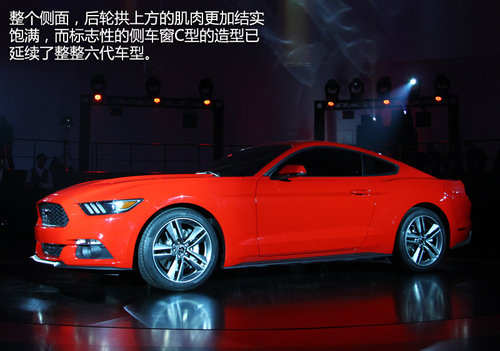 ȫ¸MUSTANG