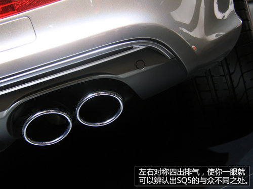 ٹ5.3 ϺչʵİµSQ5