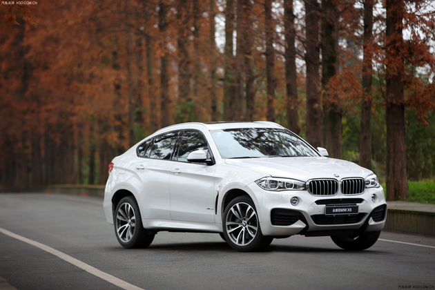 ʯׯȫBMW X6 ´