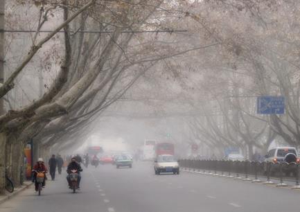 皮卡市场应春来,长安神骐绽放新光彩
