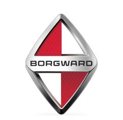 ¹BORGWARD֣