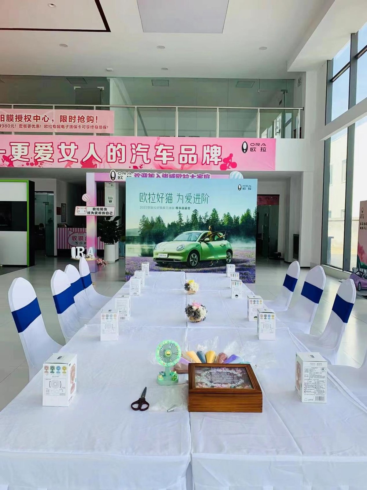 为爱进阶 2022款欧拉好猫莫兰迪版石家庄和平西路骏威欧拉品鉴会