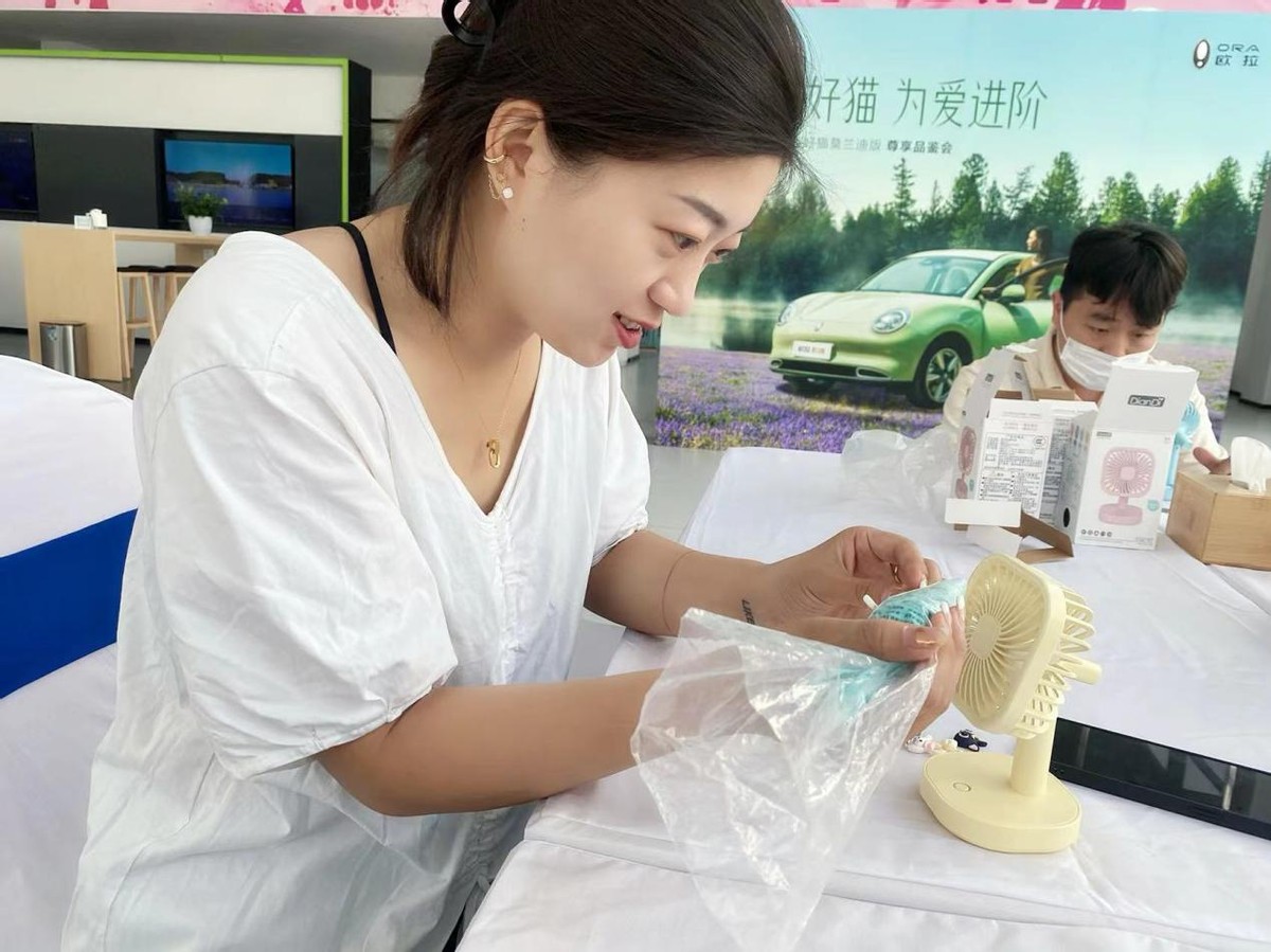 为爱进阶 2022款欧拉好猫莫兰迪版石家庄和平西路骏威欧拉品鉴会
