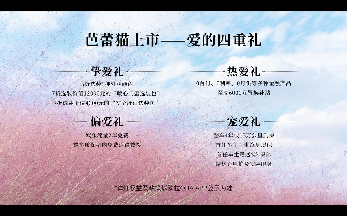 复古时尚 引领风尚 芭蕾猫拒绝大众化