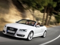 2.0TSI Cabriolet