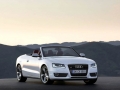 2.0TSI Cabriolet