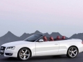 2.0TSI Cabriolet