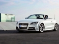 TTS Roadster 2.0TFSI quattro