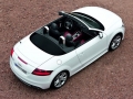 TTS Roadster 2.0TFSI quattro