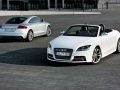 TTS Roadster 2.0TFSI quattro