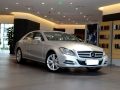 CLS 300 CGI