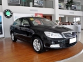 1.4TSI DSGݿ