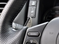 3.8T Premium Edition