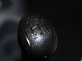 1.0 P-TECֶԽ