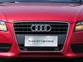 2.0TSI Cabriolet
