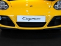 Cayman 2.9
