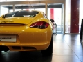 Cayman 2.9
