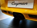 Cayman 2.9