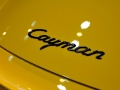 Cayman 2.9