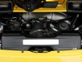 Carrera GTS 3.8L