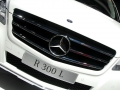 R 300L 