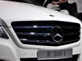 R 300L 