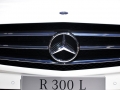 R 300L 