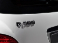 R 300L 