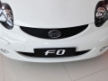 1.0L пÿ