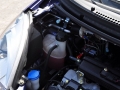 1.0L ֶ