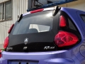 1.0L ֶ