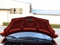 1.0L ֶ