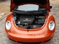 1.8T BlackOrange