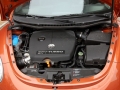 1.8T BlackOrange