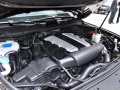 3.0TDI V6 ͺ