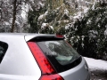 1.6L MT