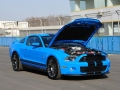 GT500 ֶ
