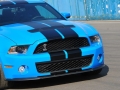 GT500 ֶ