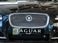 XF 3.0L V6绪