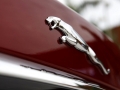 XF 3.0L V6