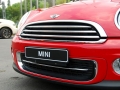 1.6L COOPER Tattoo