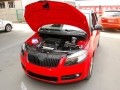 1.6L Զڰ