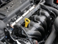 1.6Զ