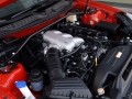 3.8L 콢Զ