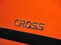 Cross 1.5 ֶ׼