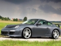 Carrera GTS 3.8L