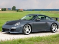 Carrera GTS 3.8L