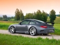 Carrera GTS 3.8L