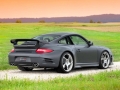 Carrera GTS 3.8L