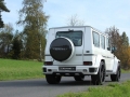 G 500